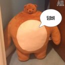 짐 엘리트 진천점 이미지