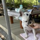 육일군 수라간 이미지