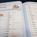 초급필수 영단어 암기 이미지