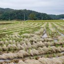 운천4리 이미지