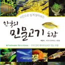 고기도감 이미지