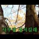 입세