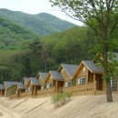 용인자연휴양림 이미지