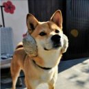 의정부교도소 이미지