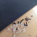 대야포레스트시티 이미지