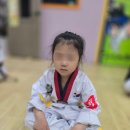 용인대명인태권도 이미지