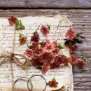 마음의 양식 이미지