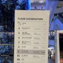 서울 첫 이케아, 이케아 강동점 드디어 오픈! 사람지옥