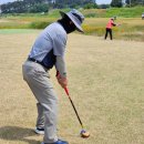 파크골프 이미지