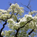 화순읍사무소 이미지