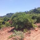 회현농업 이미지