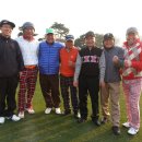 완도읍-11 이미지