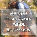 진정한;벌꿀