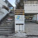 수내 태권도장 이미지