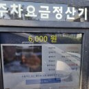 동백호수공원(광장) | [기흥] 동백호수공원 쥬네브문월드 주차장 비용 주차 후기
