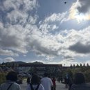 대공원 동물병원 | 과천 서울대공원 동물원 내돈내산 일기같은 후기