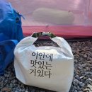 프레쉬 힐 | [힐그라운드 이안에맛있는거있다! ] 트레킹·백패킹 보냉백 - 킵프레쉬백 타이벡 소프트 쿨러백