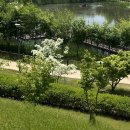 (주)투어리스트 이미지