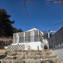 망고 애견 | 경북 칠곡 애견운동장 "망고의 하루"방문 후기