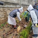 인도변 화단 이미지