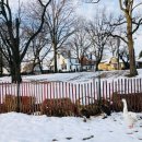 온사랑약국 이미지