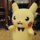 초리코리아 주식회사