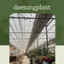 대성판매장 이미지