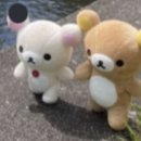 해피럭키