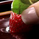 반디야식 이미지