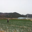 입석농장 이미지