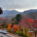 밀레니엄당구장 이미지