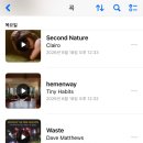 당스몰