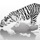 호연지기 이미지