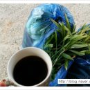 고라농장 이미지