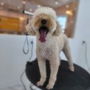 해피오브트리밍 이미지