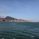 88국제여행사 | 비행기 대신 크루즈! 코스타 세레나호 부산출도착 중국(상해),일본(후쿠오카)을 한번에!