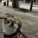 호두미디어 이미지