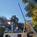 쌍촌동 오월어린이 공원 이미지