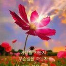 다비다회관 이미지