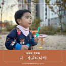 일상의 조각들 _ 가을타나봐