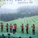 보성읍사무소 이미지