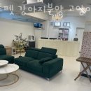 컴투펫 강아지분양 고양이분양 인천본점 이미지