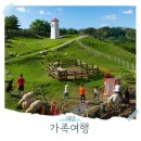 고산농장 | 대만 패키지 여행 타이중 칭징농장 가족여행 완전강추!