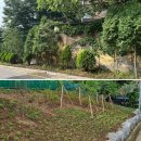 조원동-2 이미지