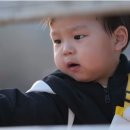 정우목장 이미지