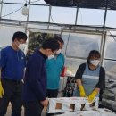 구번지농장 이미지