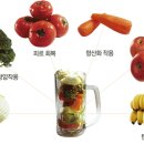 해독 티스토리