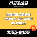 증평꽃집 | 충청북도 증평군 증평읍 근처 꽃집 당일배송 안내