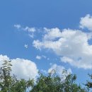 적당한 날 이미지