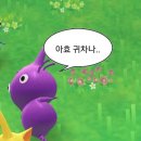 딩굴댕굴 이미지